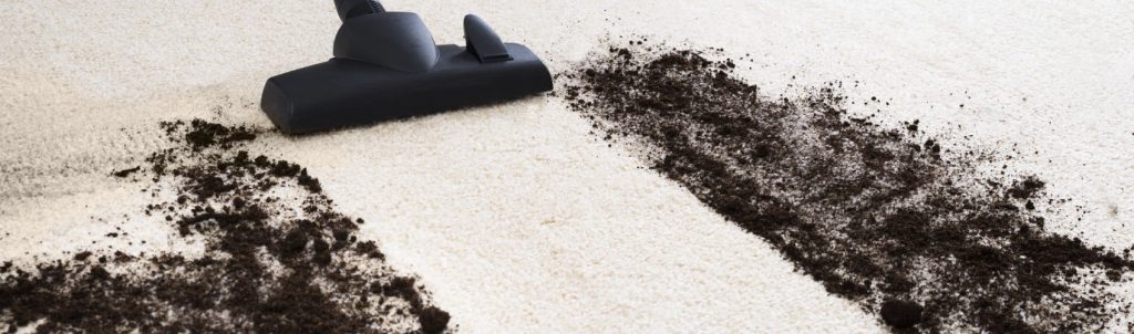 Soil on Carpet